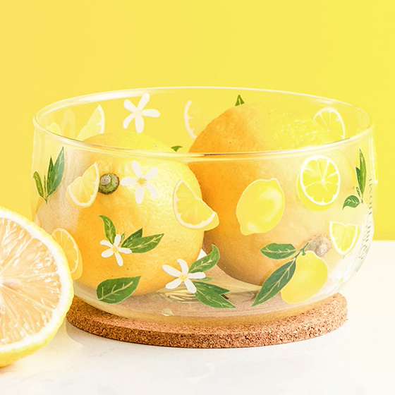 Limonada Bowl or Mug with Silicone Lid
