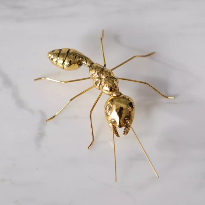 Bug’s Life Decor
